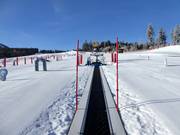 Tappeto magico 33 m ArBär-Kinderland