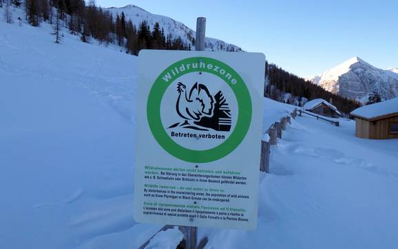 Alpi della Gail: Rispetto ambiente dei comprensori sciistici – Ecologia Goldeck - Spittal an der Drau