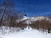 Niseko Gondola - 6pers.| Telecabina (Monofune)