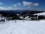 Pista facile Kircherlhang