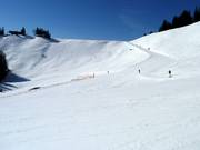 Vista sulla discesa Horngrat