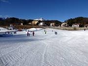 Neveland Bertoldi con tappeti mobili