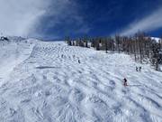 Pista di gobbe presso la Mitterhausbahn (Planai)
