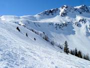 Area freeride al Zweitausender