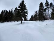 Pista difficile con gobbe al Mont-Sainte-Anne