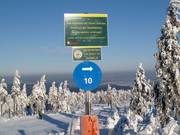 Segnaletica delle piste