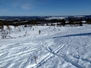 Area sciistica libera/fuoripista