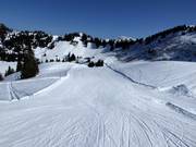 Pista facile Hühnerspiel-Lochstafel