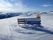 Le diramazioni sono chiaramente segnalate.