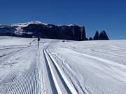 Piste da fondo sull'Alpe di Siusi con lo Sciliar sullo sfondo