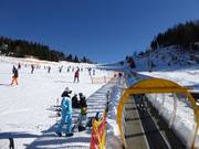 Tappeto magico presso la Kanzelhöhe