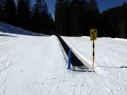 Tappeto e pista di esercitazione Seebli