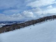 Ampia pista presso l'East Mt.