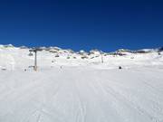 Pista Nr. 10 Aletsch