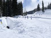 Tappeto magico Solitude