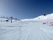 Pista molto facile Borreguiles