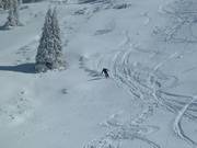 Neve fresca al Top Liner