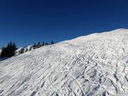 Itinerario sciistico Riedkopf