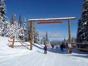 La strada di montagna conduce al Vance Creek