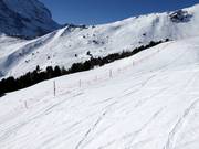 Le zone di protezione della fauna selvatica vengono chiuse