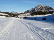 Pista da fondo Lienbachloipe sulla Postalm