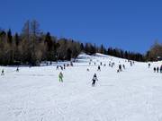 Facile discesa Zirbenabfahrt