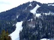 Vista sulla pista FIS Standard-Kohlerhang