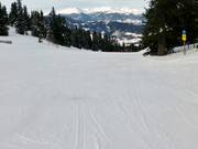 Discesa familiare esterna