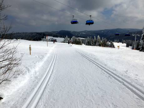 Sci di fondo Baden-Württemberg – Sci di fondo Feldberg - Seebuck/Grafenmatt/Fahl