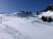 Pista Saanerslochgrat-Saanenwald