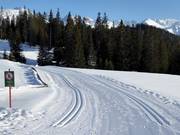 Pista da fondo a Serfaus