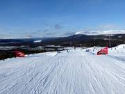 Skicross Idre Fjäll