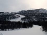 Discesa Sauebekkløypa