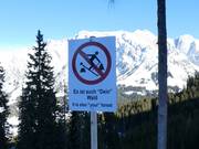 È anche la tua foresta