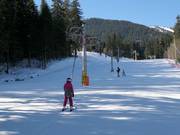 Rotata - Skilift a piattello