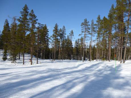 Svezia Settentrionale: Rispetto ambiente dei comprensori sciistici – Ecologia Idre Himmelfjäll