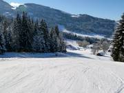 Discesa a valle Ascher verso Altenmarkt