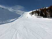 Pista difficile n. 13 dal Cimaross