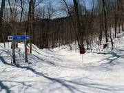 Discesa difficile nel bosco