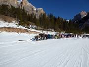 Slitte trainate da cavalli alla fine della pista Lagazuoi