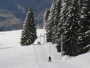 Reys - Skilift a piattello