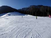 Campo scuola Valbona