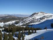 Vista sulle discese tra le radure del bosco