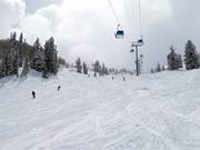 Ottima preparazione delle piste