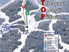Mappa delle piste Păltiniș