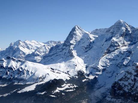 Alpi Bernesi: Dimensione dei comprensori sciistici – Dimensione Kleine Scheidegg/Männlichen - Grindelwald/Wengen
