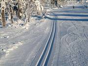 Pista da fondo sul Fichtelberg
