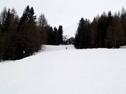 Discesa a valle di media difficoltà n. 4