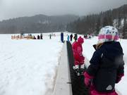 Tappeto e skilift a fune servono piste molto facili nell’Hirschzwergland