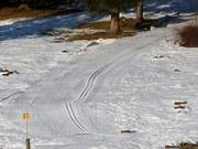 La pista da fondo parte direttamente accanto alla pista da sci